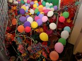 Goettiball16.03.2013 (12).jpg